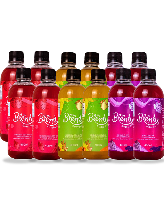 Combo Essencial – Sabores Selecionados (12 x 400ml)