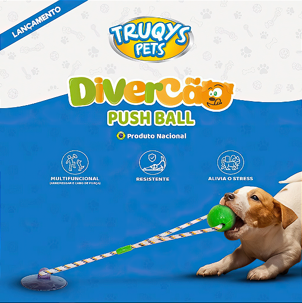 BRINQUEDO PUSH BALL DIVERCÃO - AZUL