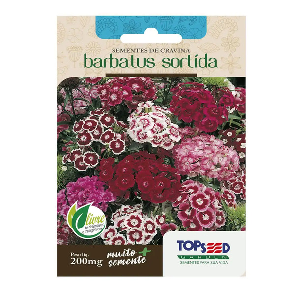 Sementes de Cravina Barbatus Sortido Tradicional Topseed Garden Único