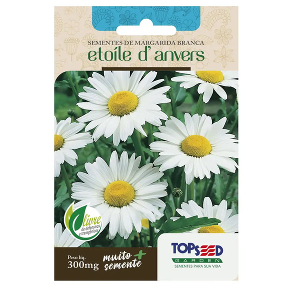 Sementes de Margarida Branca Tradicional Topseed Garden Único