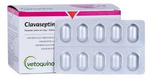 Amoxilina Clavaseptin 250mg Cart. C/10 Comp.