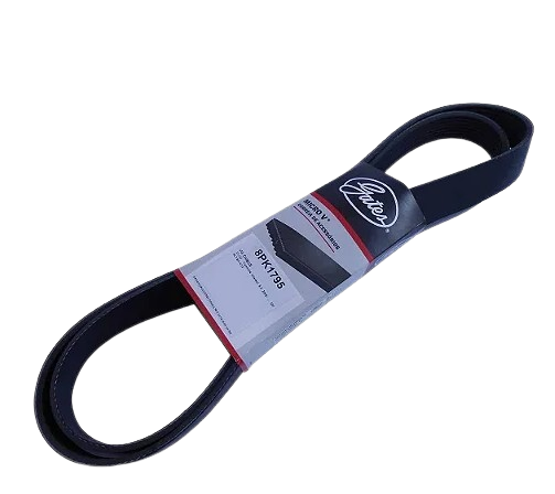 Correia Micro V 8PK1795 | Gates