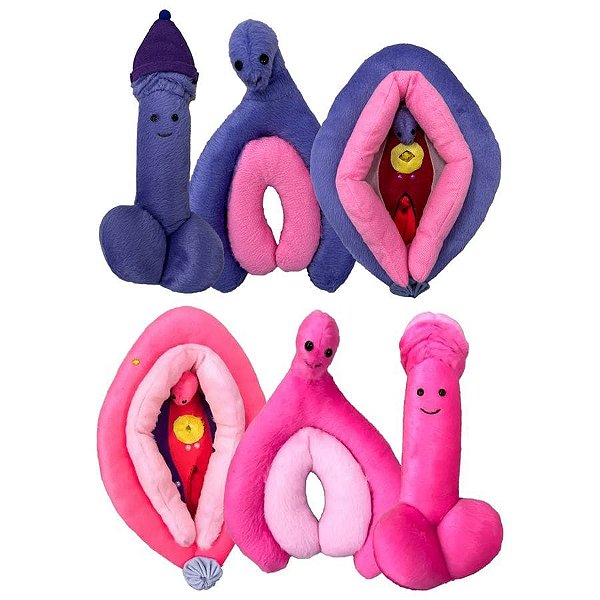 Kit Educativo com 3 Peças Vulva, Clitoris e Pênis