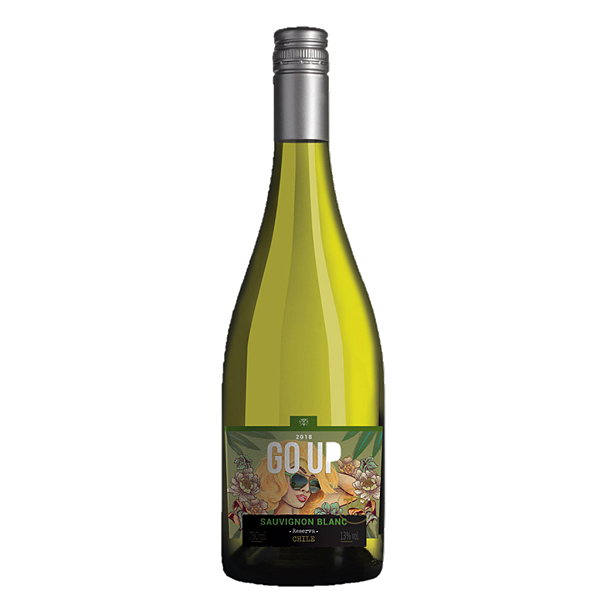 Vinho Branco Go Up Sauvigon Blanc Reserva