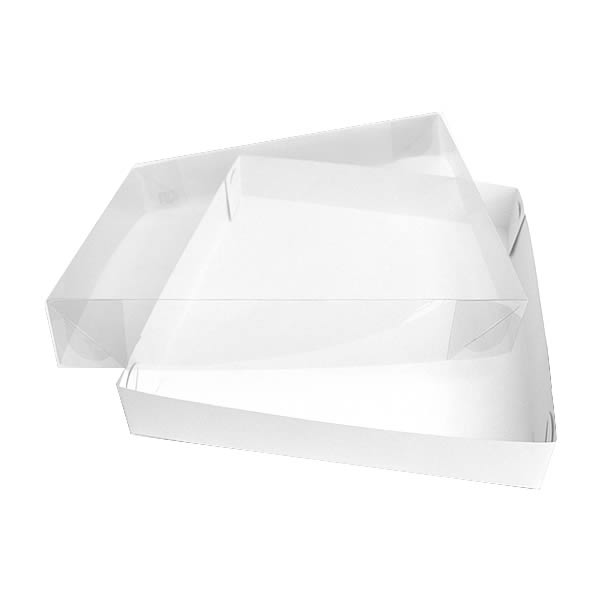 Caixa de Acetato TRP-31 (26x23x4 cm) (10un) Embalagem de Plástico Acetato e Papel