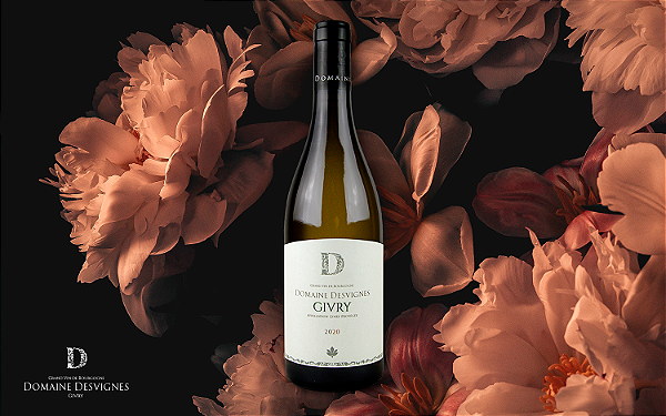 Domaine Desvignes - Givry - Blanc - 2022 - 0,75