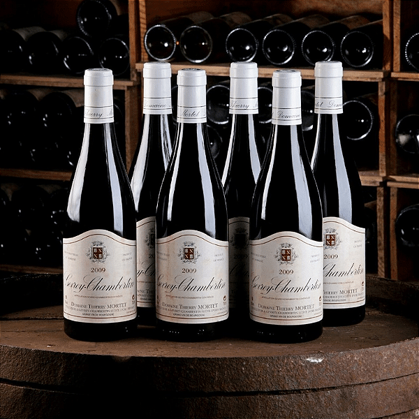 Domaine Thierry Mortet - Gevrey Chambertin - Rouge - 2021 - 0,75