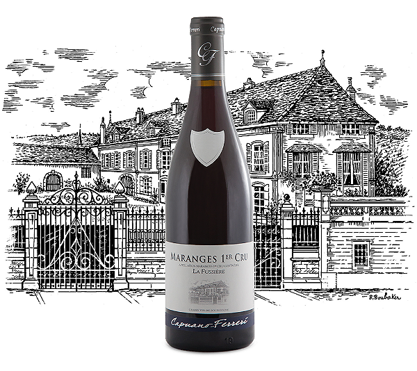 Domaine Capuano Ferreri - Maranges Premier Cru La Fussiere - Rouge - 2023