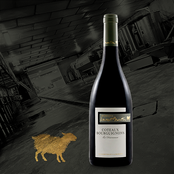 Domaine Laurent Mouton - Coteaux Bourguignons Les Fourneaux - Rouge - 2024