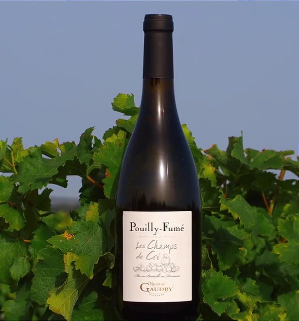 Nicolas Gaudry - Pouilly Fumé Les champs de Cri - Blanc - 2022 - 0,75