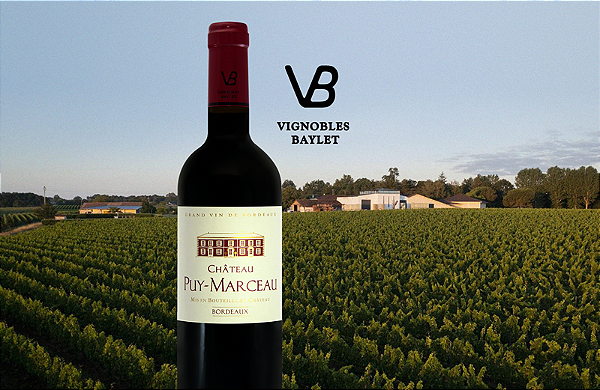 Vignobles Baylet - Château Puy Marceau - Rouge - 2020 - 0,75