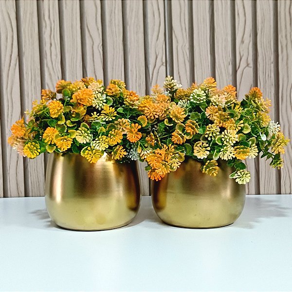 Dupla Dourada Fosca Aninha