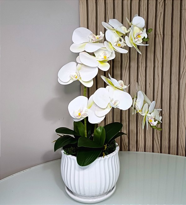 Arranjo de Orquidea Phalaenopsis Branca Camile