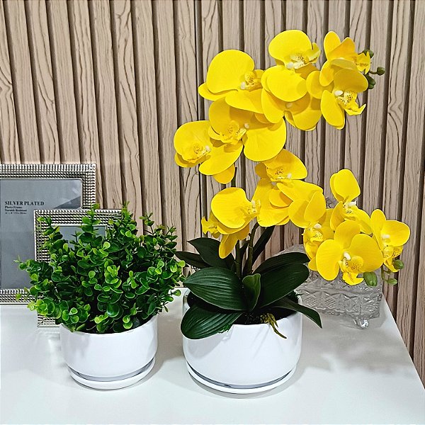 Dupla de Arranjo Verdinho e Orquidea Phalaenopsis Amarela Camile