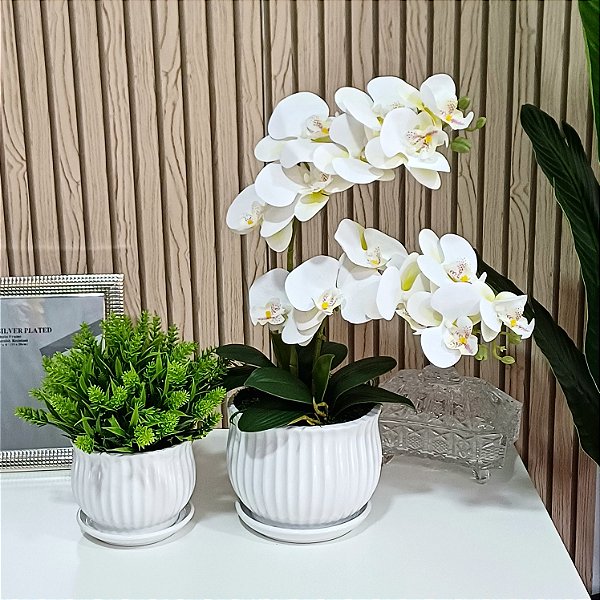 Dupla de Arranjo Verdinho e Orquidea Phalaenopsis Branca Camile