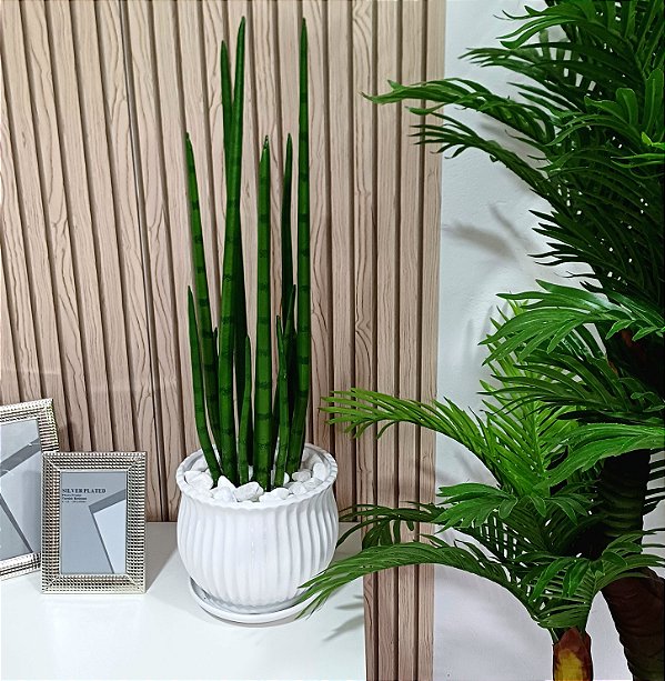 Arranjo Lança São Jorge