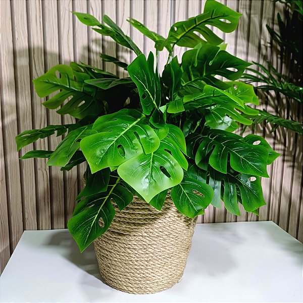 Arranjo Costela de Adão