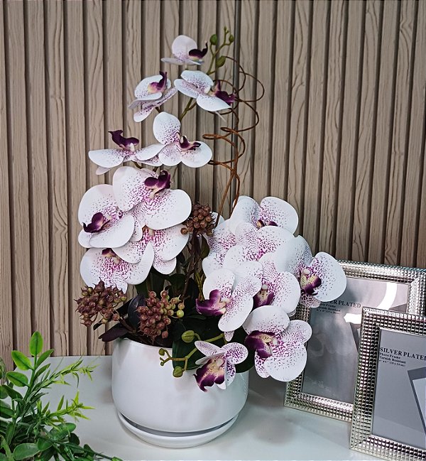 Orquidea Luxo Mescla