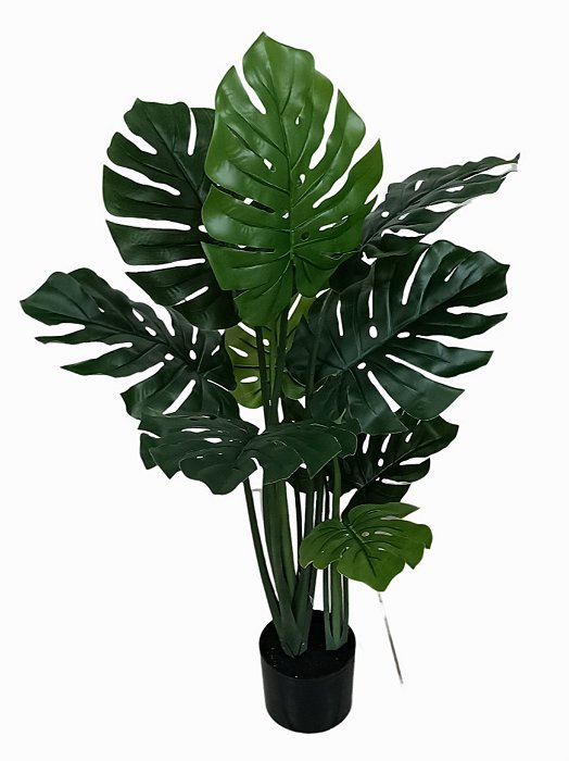 Planta Costela Adão 120cm