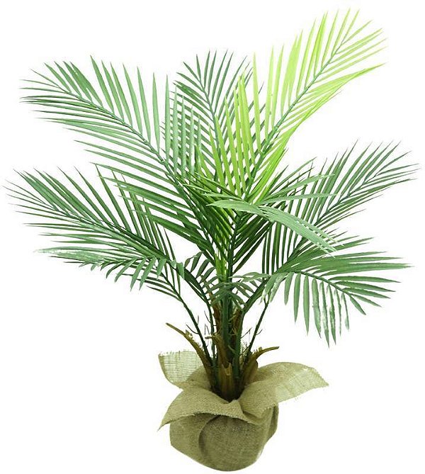 PLanta Palmeira Areca 90cm