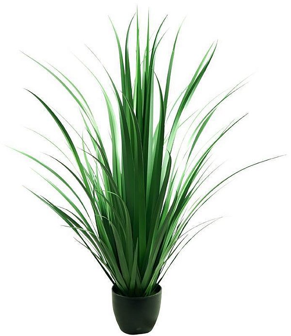 Capim Verde 90cm