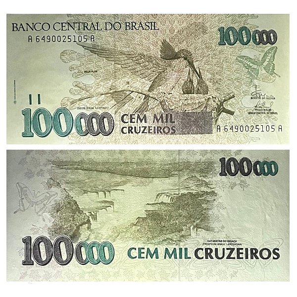 Brasil - Cédula de 100.000 Cruzeiros 1993 C-230 - Beija Flor - Sob/Fe