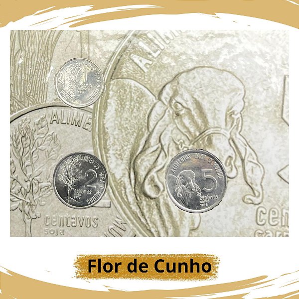 Cartela com as Moedas da Série FAO 1975 - Flor de Cunho