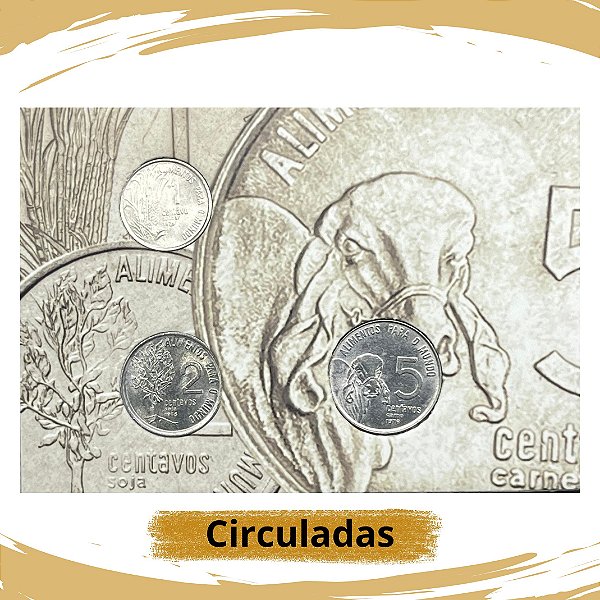 Cartela com as Moedas da Série FAO 1975 - Circuladas