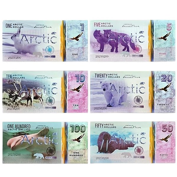Artico - Série completa com 6 Cédulas de 1 a 100 Artic Dollar 2020 - FE
