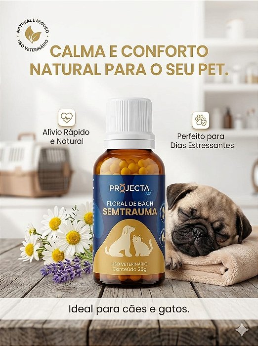 Floral De Bach Semtrauma Projecta Pet Medo E Traumas Cão Gato 26g
