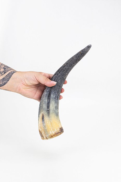 Chifre Bovino G - Paparico