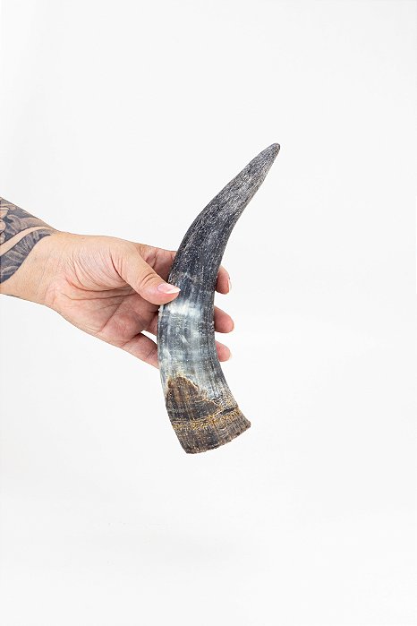 Chifre Bovino M - Paparico