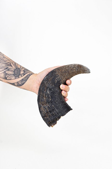 Chifre de Búfalo G - Paparico