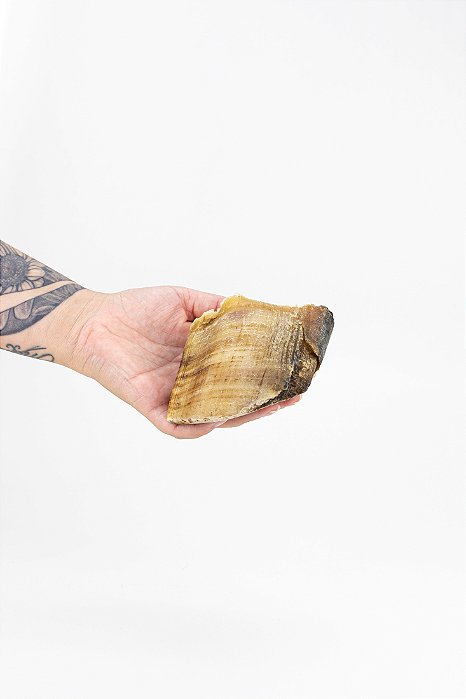 Casco Bovino Kit 2un - Paparico