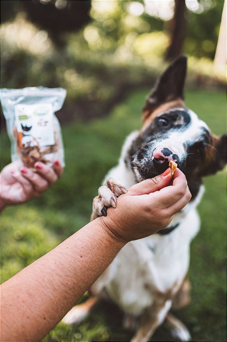 Training Bites 150g - Filé de Frango - PetNaturau