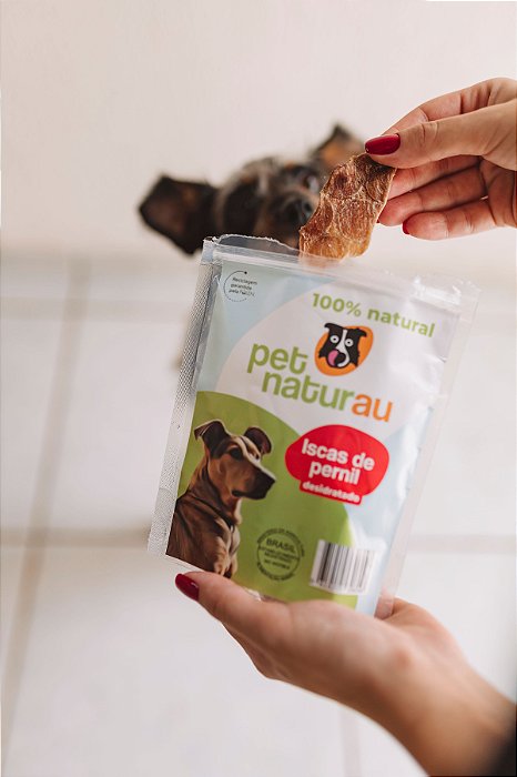 Petisco Suíno 70g - Lombo Suíno - PetNaturau