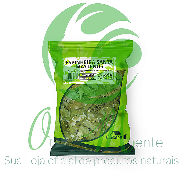 ESPINHEIRA SANTA MAYTENUS FOLHA & TALO 50g - CASERALLI