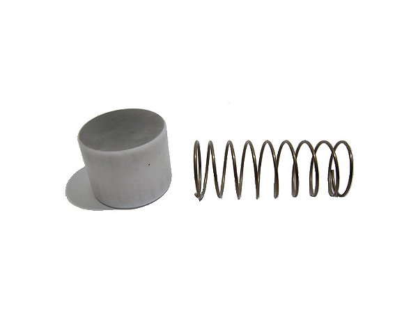 REPARO VALVULA RETENCAO 3/4 MSV20S/MSV30MAX