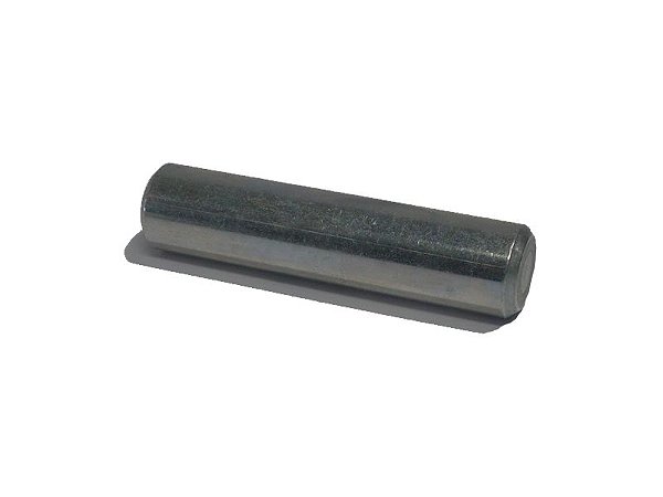 PINO DO ROLETE {0428004} - TM 2220 / 3020
