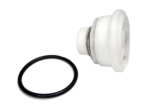 VALVULA POLICETAL COMPLETA {0104130001} ANTIGO - [8882]