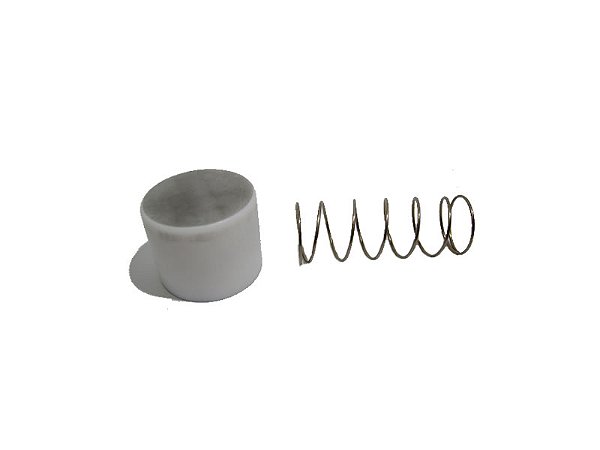 REPARO VALVULA RETENCAO 1"   TAW20   WTV20N   WTV30N   WTV40N