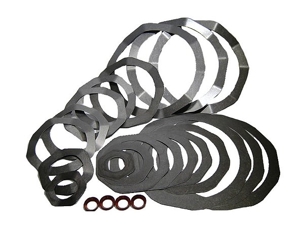 REPARO PLACA VALVULA AP / BP COMPLETO W900