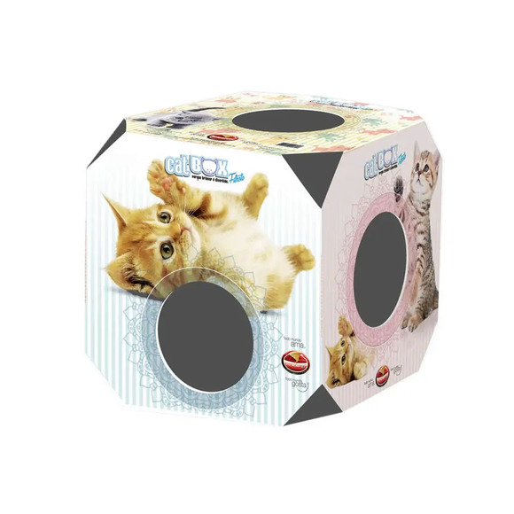 Cat Box Filhote Furacão Pet Único