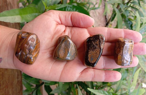 Olho de Tigre rolada