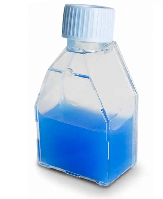 FRASCO P/CULTIVO DE CELULAS 12,5CM2 TAMPA PLUG S/FILTRO - PCT/10 - KASVI