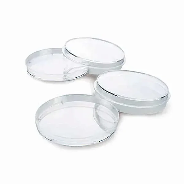 PLACA DE PETRI 21,9X143,0MM (150MM) - PCT/5 - KASVI