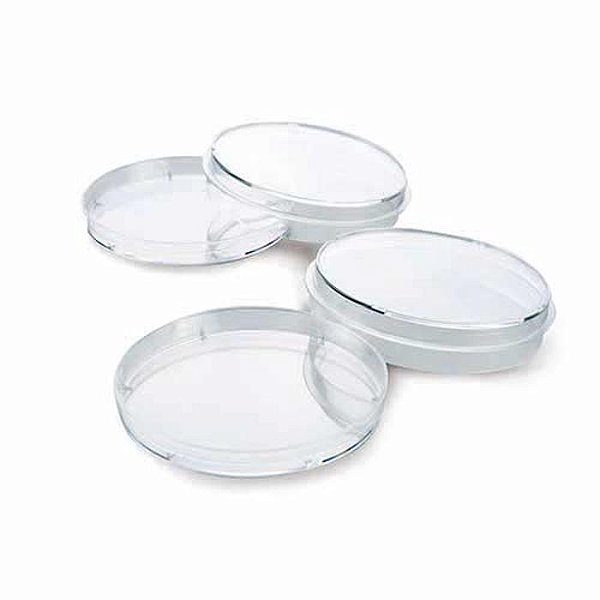 PLACA P/ CULTIVO DE CELULAS 100X22MM ESTERIL LIVRE DNASE RNASE SUPERFICIE TRATADA - PCT/10 - KASVI