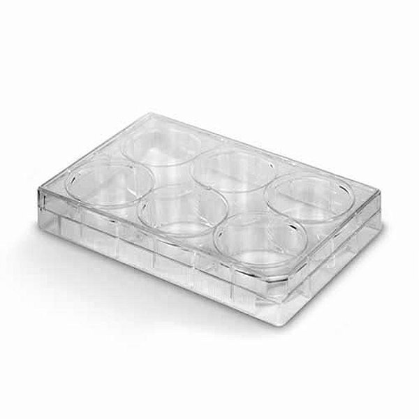 PLACA P/CULTIVO DE CELULAS 6 POÇOS FUNDO CHATO - KASVI