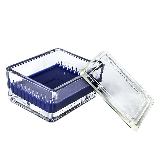 CUBA DE COLORAÇAO 10 LAMINAS C/ TAMPA - FIRSTLAB