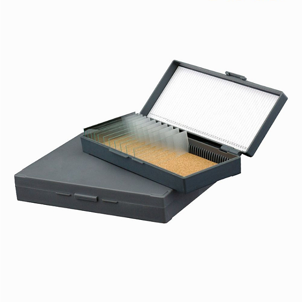 CAIXA PLASTICA PORTA 100 LAMINAS